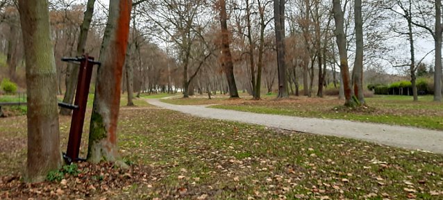 Bild: Chaoten im Schlosspark Sondershausen unterwegs