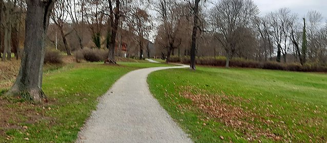 Bild: Chaoten im Schlosspark Sondershausen unterwegs