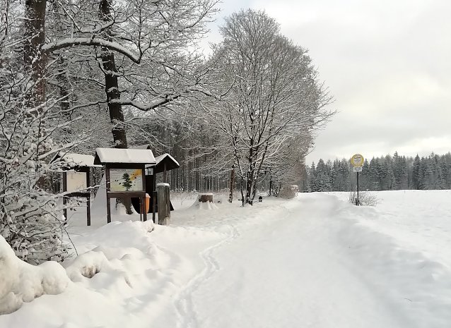 Bild: Winteridylle in Sophienhof
