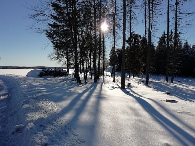 Bild: Wintersonne heute morgen in Sophienhof