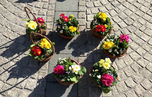 Bild: Fr&uuml;hbl&uuml;her auf dem Wochenmarkt in Sondershausen