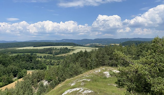 Bild: Blick von den H&ouml;rninger Klippen