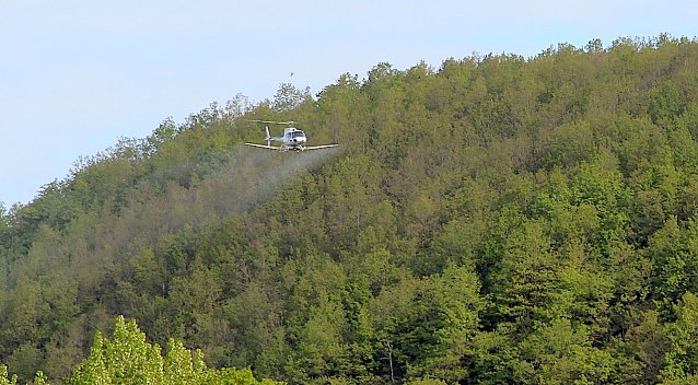 Bild: Sch&auml;dlingsbek&auml;mpfung aus der Luft