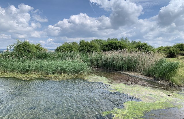 Bild: Am Helmestausee bei Kelbra