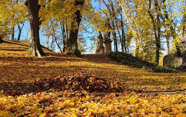 Bild: Bunte Laubf&auml;rbung im Schlosspark Ebeleben