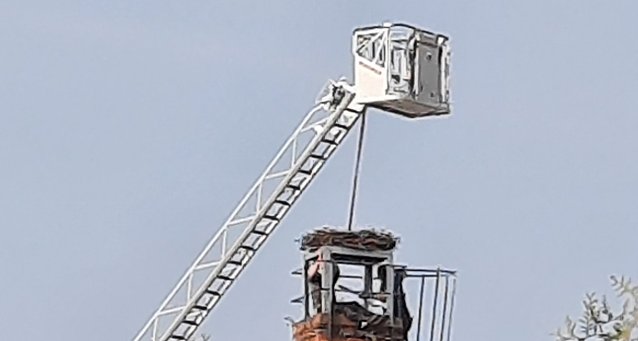 Bild: St Arche in Bad Frankenhausen