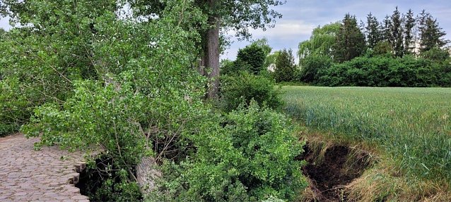 Bild: Erdrutsch zwischen Bottendorf und Donndorf
