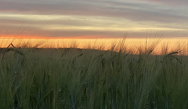 Bild: Wechselhaftes Wetter bestimmt das Wochenende