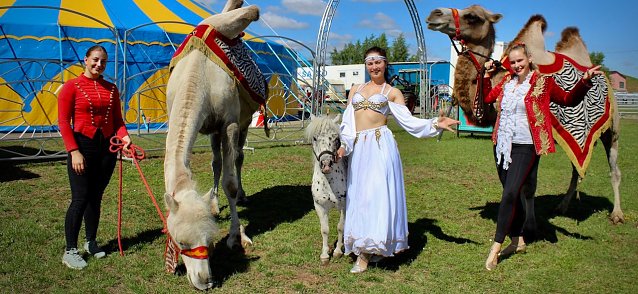 Bild: "Zirkusfamilie" Circus Salto freut sich auf seine G&auml;ste in der Schachtstra&szlig;e in Sondershausen