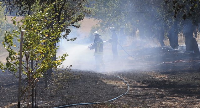 Bild: Fl&auml;chenbrand zwischen Klein und Gro&szlig;furra