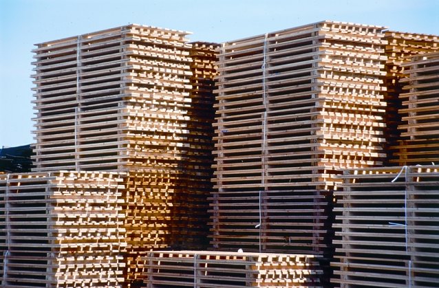 Bild: Seit Jahrzehnten in der Logistik nicht mehr wegzudenken: Holzpaletten. Auch die Th&uuml;ringer Palettenhersteller werden mit dem heimischen, nachhaltig produzierten Rohstoff Holz versorgt