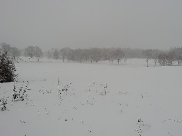 Bild: Im Harz zeigte sich der Dezember heute von seiner ungem&uuml;tlichen Seite
