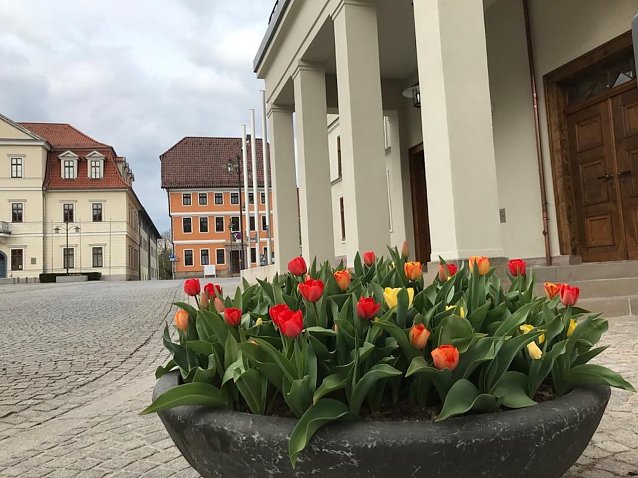 Bild: Stadtpolitik in Sondershausen