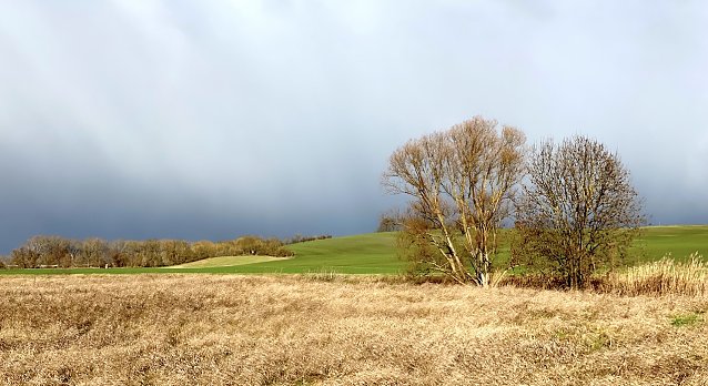 Bild: Weiterhin mildes Wetter