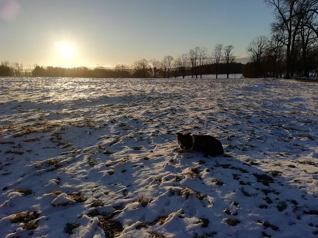 Bild: Minus 5 Grad, Sonne, kaum Wind - so sah es heute morgen in Sophienhof aus