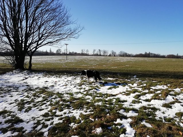 Bild: Im Harz kommt die Sonne langsam gegen den Winter an