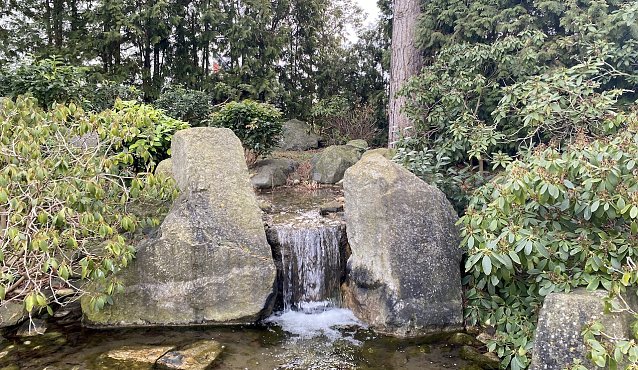 Bild: Im Japanischen Garten Bad Langensalza