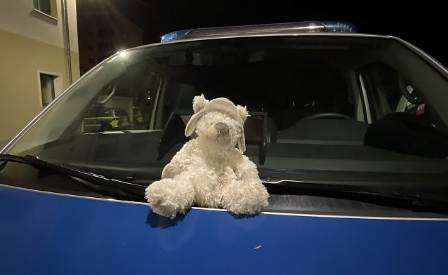 Bild: Sucht dringend seinen Besitzer: Teddy