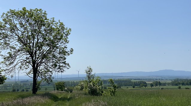 Bild: Blick vom Hainich auf den Th&uuml;ringer wald