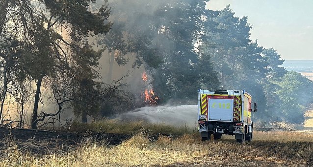 Bild: Erneuter Brand in Reinsdorf