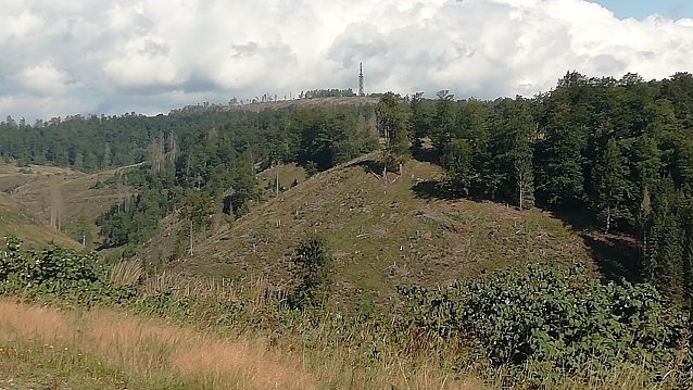 Bild: 16 Grad, leichter Wind und Sonne heute in Sophienhof im Harz