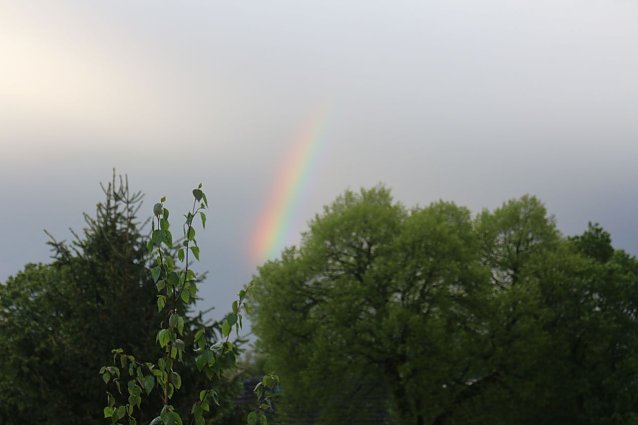 Bild: Wetterbild