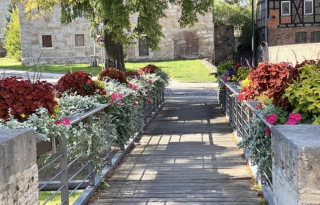 Bild: Herbstbepflanzung an einer Br&uuml;cke in Bad Langensalza
