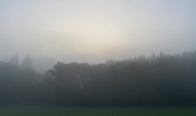 Bild: Vielfach ist es neblig im Freistaat und die Sonne k&auml;mpft sich nur langsam durch