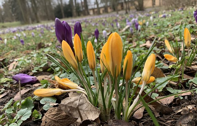 Bild: Symbolbild Wetter