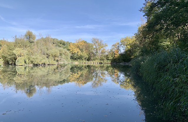 Bild: Wetter