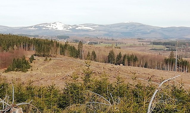 Bild: Blick zum Brocken von Sophienhof