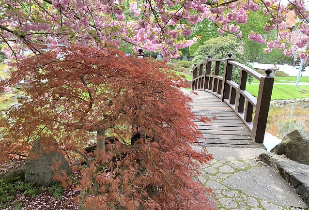 Bild: Japanischer Garten in Bad Langensalza