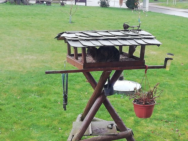 Bild: Besuch im Vogelhaus in Sophienhof bei Bei 5 Grad, bew&ouml;lkt und leichtem Wind