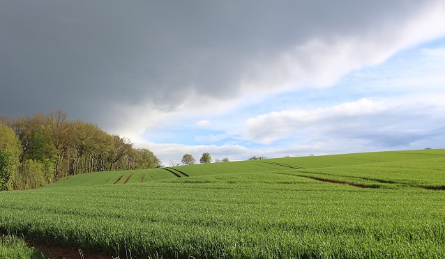 Bild: Wetter