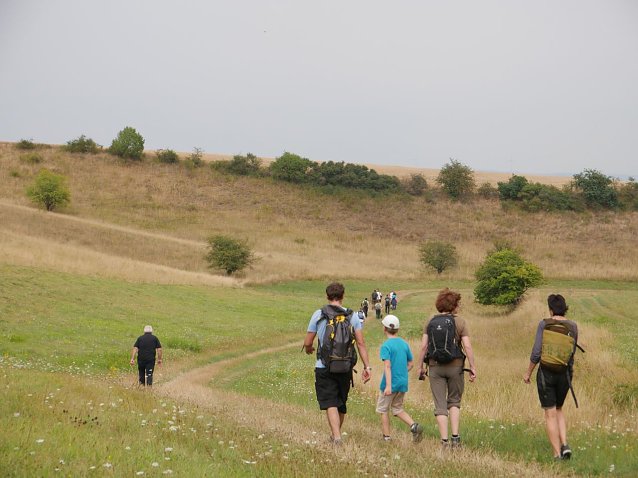 Bild: Hinaus zum langen Tag der Natur