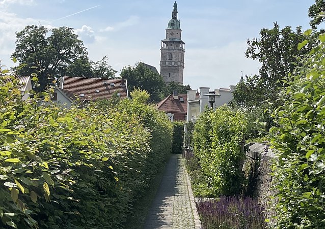 Bild: Im Schl&ouml;sschenpark Bad Langensalza 