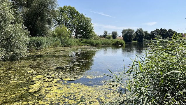 Bild: Am Opfermoor in Niederdorla