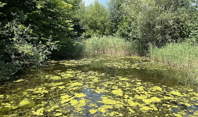 Bild: Es bleibt sommerlich durch ein Zwischenhoch 