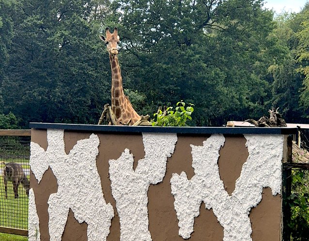 Bild: Serengeti Park in Hodenhagen (1)
