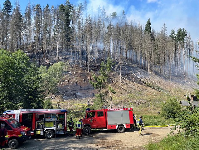 Bild: Vor wenigen Tagen brannte ein knapp fu&szlig;ballfeldgro&szlig;es Hangwaldst&uuml;ck im Revier Meura des Forstamtes Gehren. Die Feuerwehr war schnell vor Ort