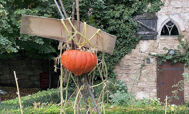 Bild: Es wird Herbst in Th&uuml;ringen
