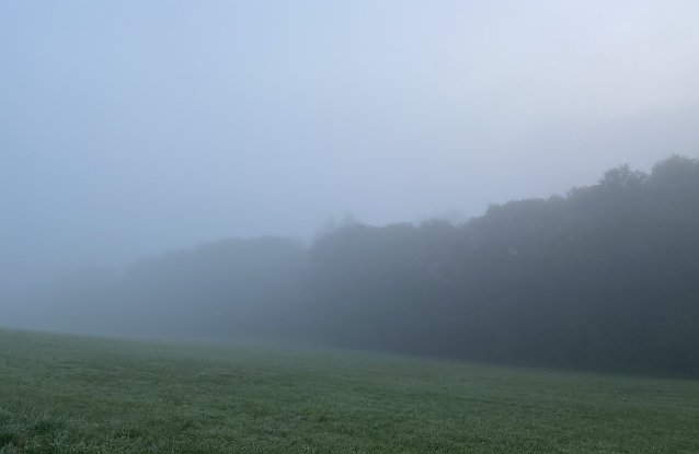 Bild: Herbstmorgen in der Natur