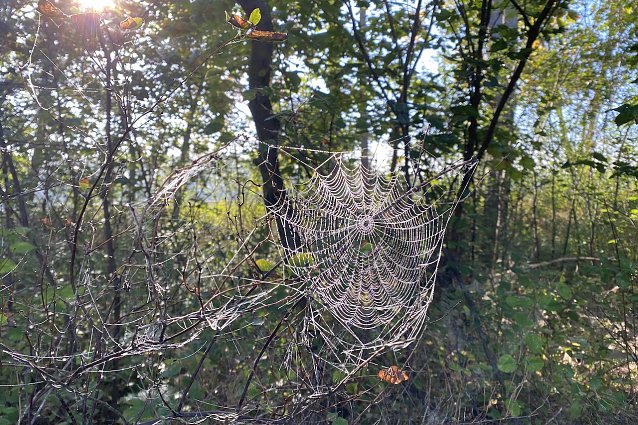 Bild: Unbest&auml;ndiges Herbstwetter bleibt erhalten