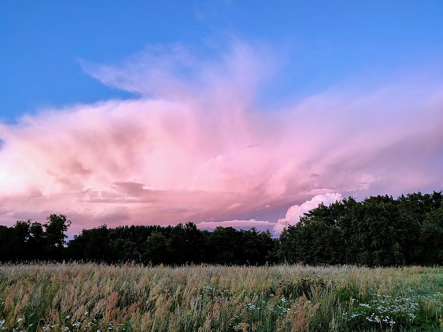 Bild: Abendspaziergang im Spreewald