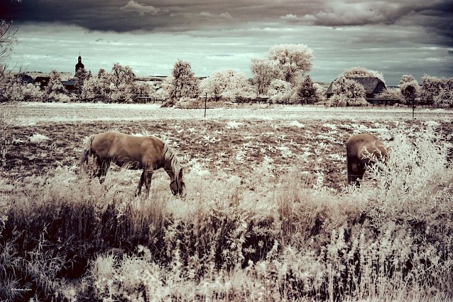 Bild: Windehausen Zorgeufer