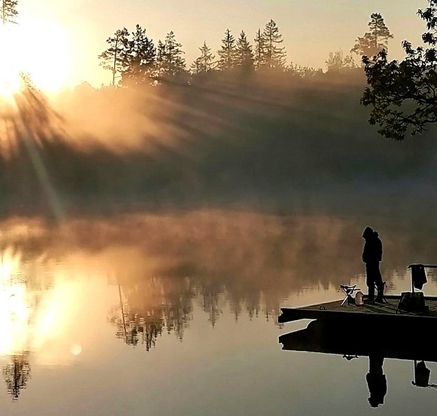 Bild: Am Birnbaumteich bei Harzgerode im S&uuml;dharz im Fr&uuml;hsommer 