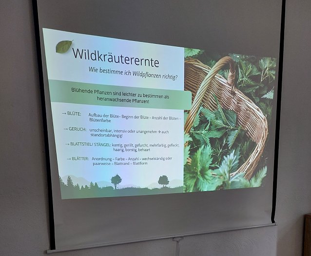Bild: Seniorentreff und die Wildkr&auml;uter in Sondershausen-Jecha