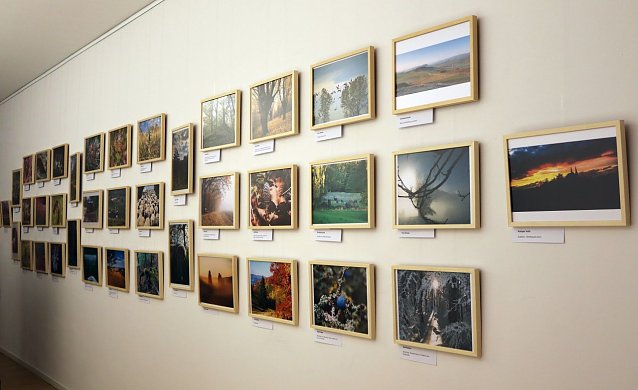 Bild: F&uuml;r die Ausstellung sind schon einige Bilder zusammengekommen