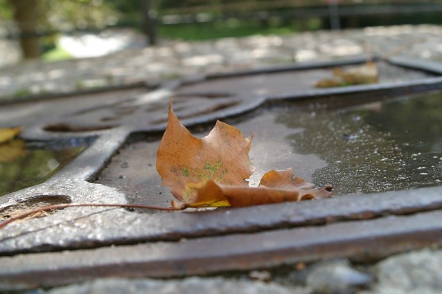 Bild: Wetterbild