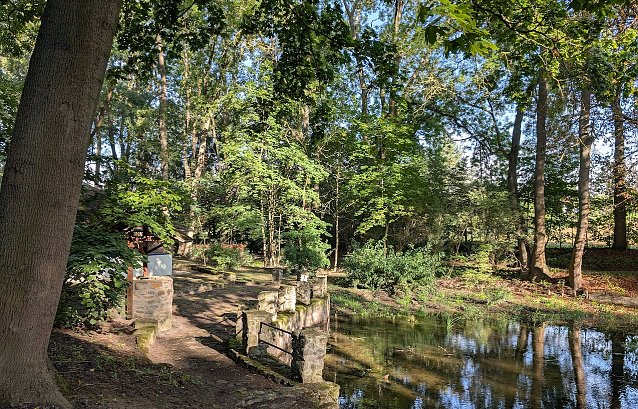 Bild: Sanierte Parkteiche in Thalebra
